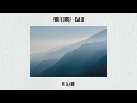 Professor - Kalin