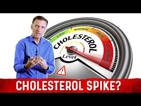 The Real Purpose of Cholesterol – Dr Berg on Cholesterol levels Part 1
