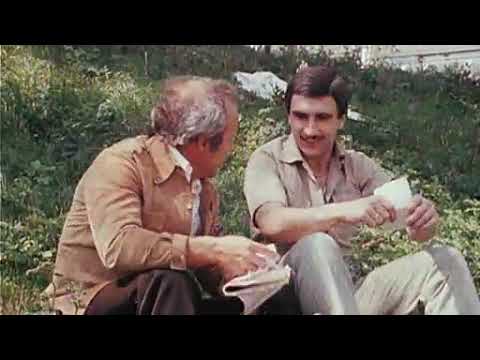 Hans Krankl schoss die BRD aus der WM 78 - Cordoba