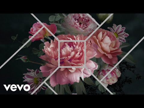 Wei Luo, Christopher Tin - Nocturne (Visualizer)