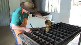 Miniatura do vídeo