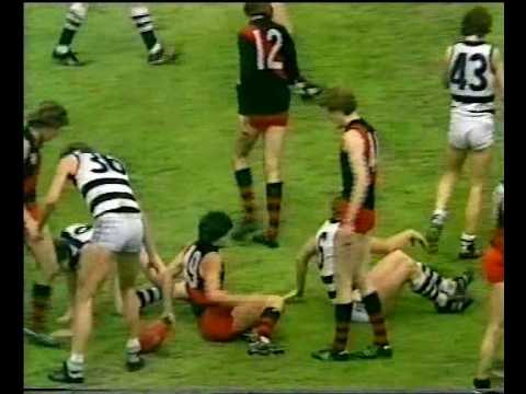VFL Reserves Grand Final 1981 - Geelong v Essendon