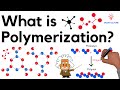 What is Polymerization?