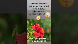 Download lagu bunga nostalgia #nostalgia #jadul #shortvideo #masakecilku #kenangan mp3