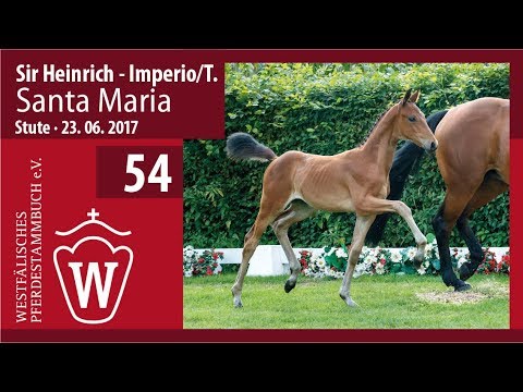 54 Santa Maria SF v. Sir Heinrich - Imperio