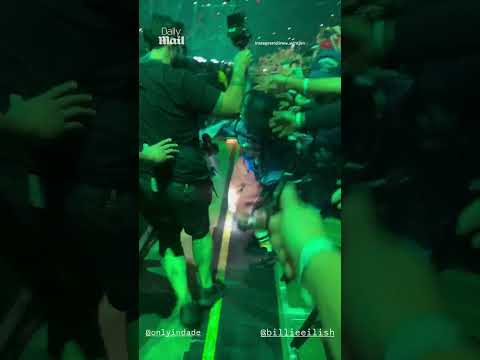 Fan tries to pull Billie Eilish over the barricade