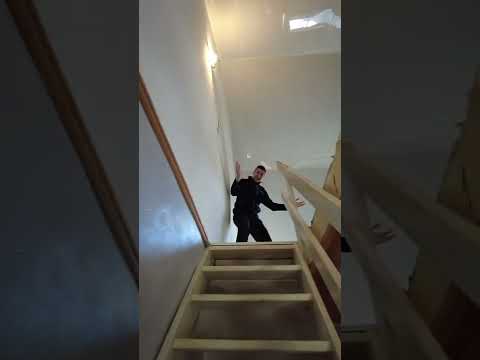 Vidéo