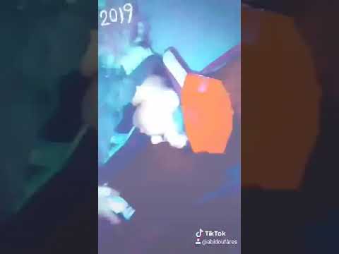 YA KHOUYA SVOBODA - WaLidou Moh    [CLIP] Tik tok  walidou Moh