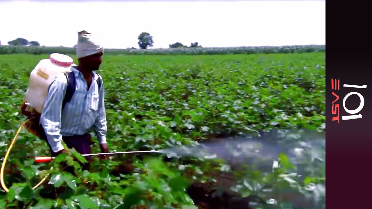 Killer Spray: Has the Pesticide Industry Caused Major Health Problems in India?