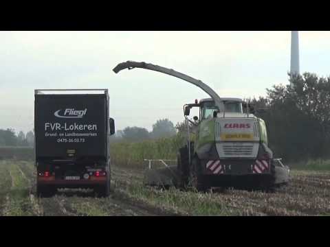 Loonw. Van Ryckegem - Lokeren