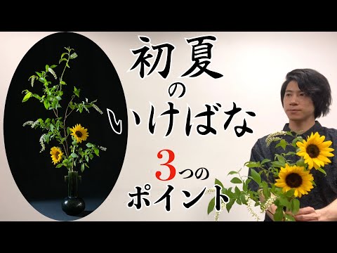 花瓶に生けたひまわり: こうすることで新鮮さが長持ちします 植物