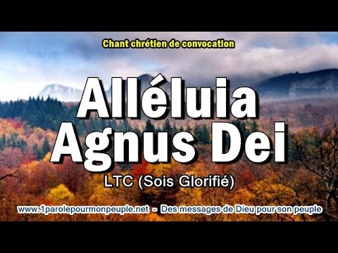 ALLELUIA AGNUS DEI - LTC – Chant chrétien