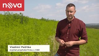 Zdravotní CBD olej 10%, Full Spectrum 10ml