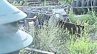 West Shore Services Siren Graveyard Tour in Allendale, MI