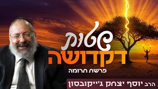 "איך להשתחרר מהלחץ הזה - ולהתחיל לחיות?" | פרשת תרומה (הרב יוסף יצחק ג'ייקובסון) - התמונה מוצגת ישירות מתוך אתר האינטרנט יוטיוב. זכויות היוצרים בתמונה שייכות ליוצרה. קישור קרדיט למקור התוכן נמצא בתוך דף הסרטון "איך להשתחרר מהלחץ הזה - ולהתחיל לחיות?" | פרשת תרומה (הרב יוסף יצחק ג'ייקובסון) - התמונה מוצגת ישירות מתוך אתר האינטרנט יוטיוב. זכויות היוצרים בתמונה שייכות ליוצרה. קישור קרדיט למקור התוכן נמצא בתוך דף הסרטון