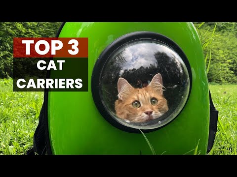 Top 3 Best Cat Carrier for Taking Your Pet on the Go