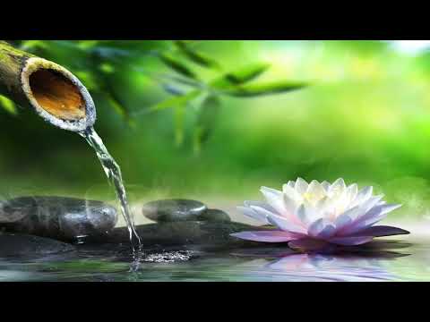 2 - Mental Avslappning - Lars-Eric Uneståhl - Avspänning - Mental Träning