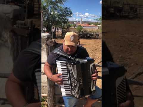 Tarcisio Do Acordeon - A Mocidade Da Gente Passa Ligeiro Demais