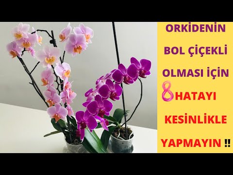 , title : 'Orkide Büyütürken Doğru Bilinen Yanlışlar/ Orkide Öldüren Hatalar/Orkide bakımında Püf noktalar'