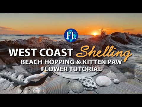 Fun Shelling & Flower Tutorial West Coast Beaches!