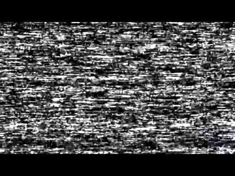 trailer terror sin miedo