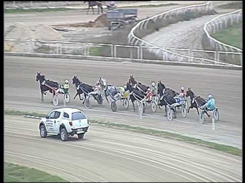 Trotto 02/12/2016 - 2ª corsa