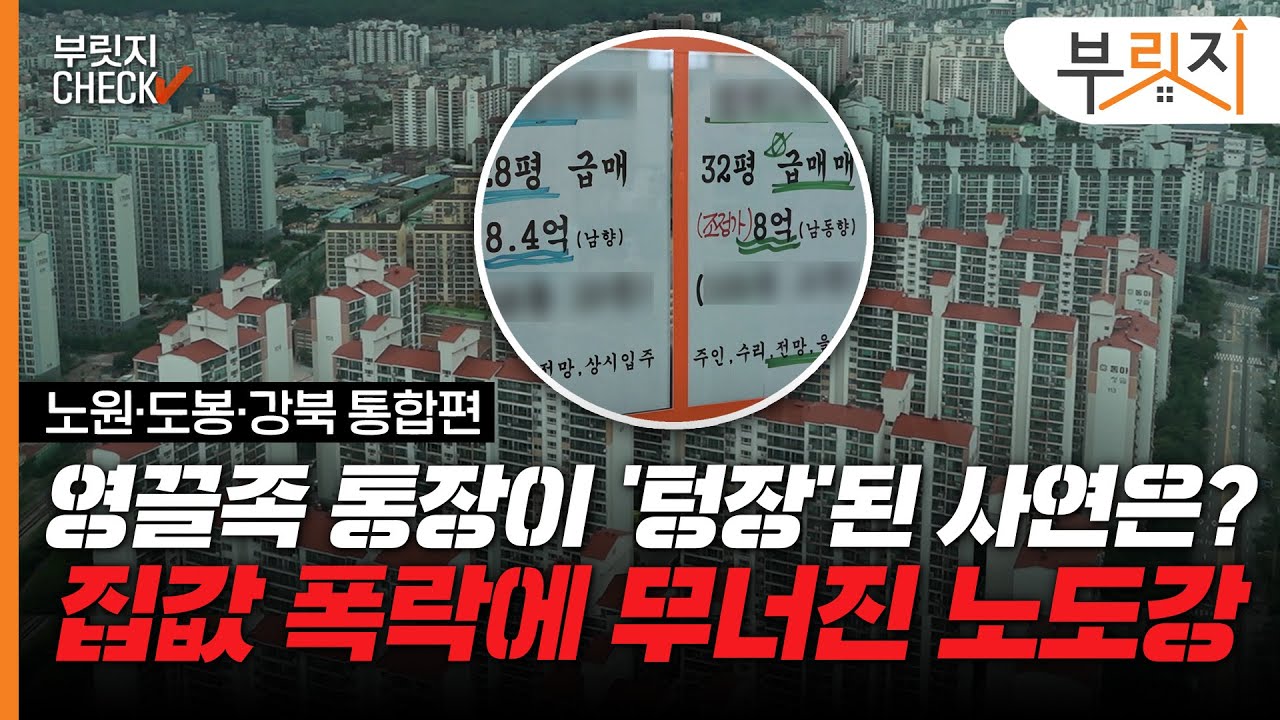 [부릿지CHECK]"그때로 돌아가면 집 안 살래요ㅠㅠ" 집값 폭락에 눈물 흘리는 노도강 영끌족