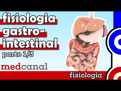 Gastrointestinal Physiology | PHYSIOLOGY (Part 1)