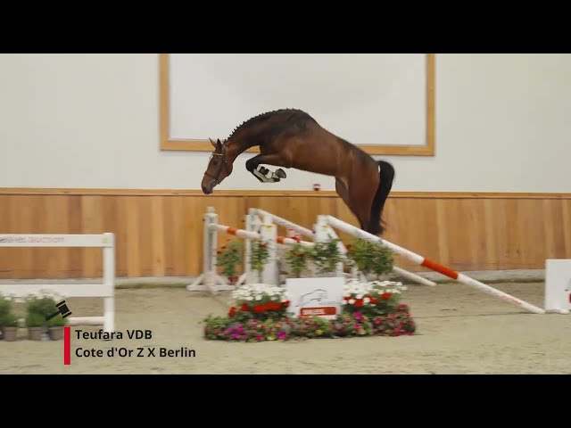 Teufara VDB