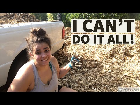 Bring In Reinforcements for a HUGE Project