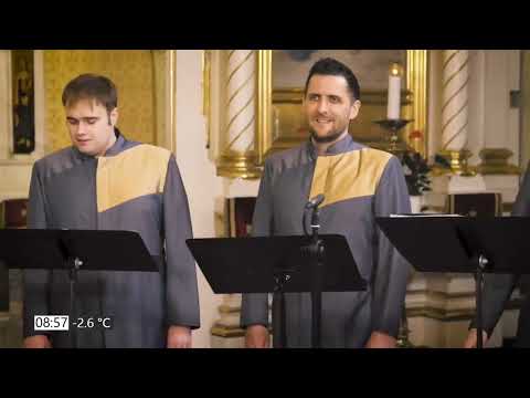 PIRKADAT Gayer Ferenccel: Bubnó Tamás