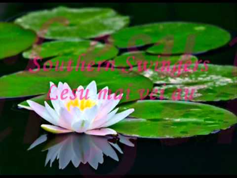 Southers Swingers - Lesu mai vei au