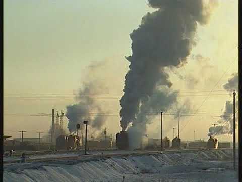 Vanishing World Steam Volume 8 - DA AN Large