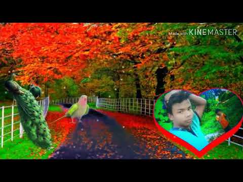 Shahanaz I love you too