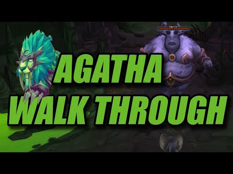 Mage Tower Is Easy Now! (Feral Druid Agatha Guide)