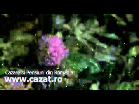 Cazare Suseni, Arges - Cazat.ro