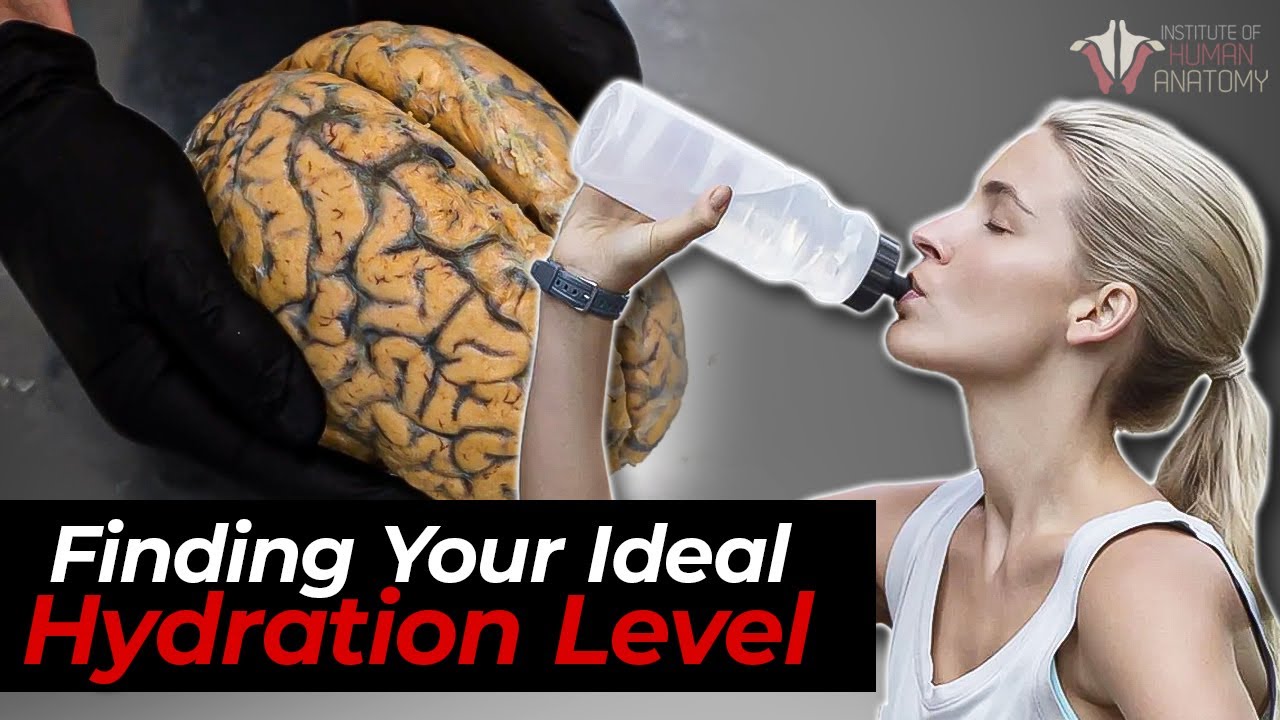 The Science of Hydration: How Much Water You Really Need