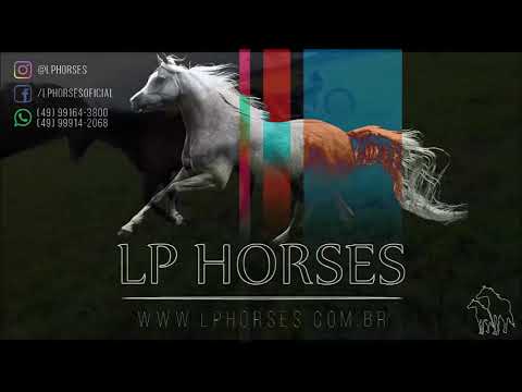 MJ ROOSTERS GUN X LITTLE DOC ZAN AA