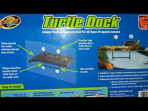 Zoo Med Large Size Turtle Dock [Unboxing] Common Snapping Turtle Update #turtles #aquarium
