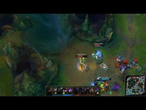 "Always blame the jungler"