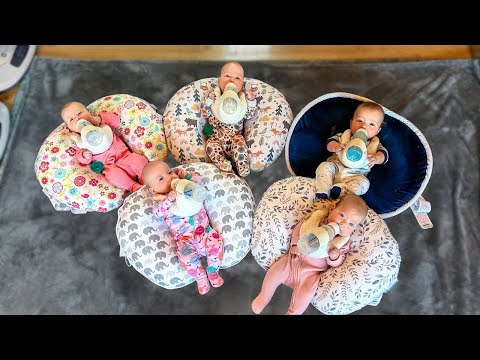 How We Feed Five Babies - Freels Quintuplets + Goat Milk Formula (Our 27 Week Preemies Are Thriving)