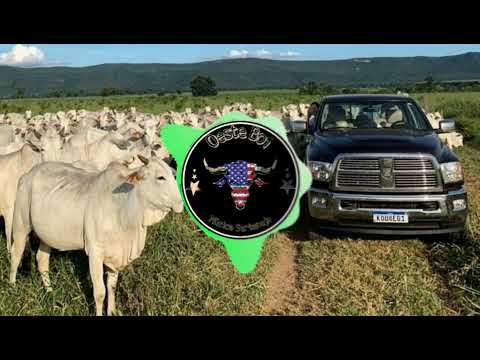 Luan Pereira ft. Léo e Raphael // Peão Não Sofre //Oeste Boi//