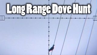 Extreme Long Range Dove Hunting