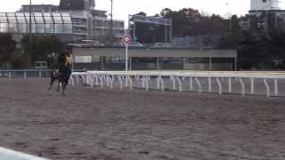 マズルブラストの追い切り