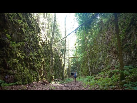 Le Reymond - Mont-Soleil