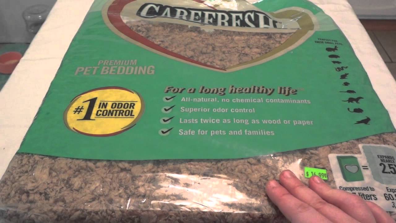 Small Animal Bedding Comparison