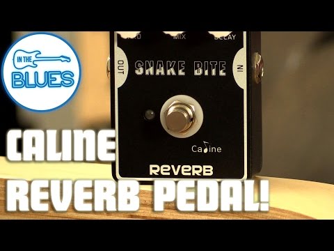 Caline CP-26 Snake Bite Reverb/Delay Guitar Effect Pedal image 5