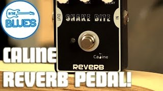Video thumbnail for Caline Snake Bite Reverb Pedal by intheblues