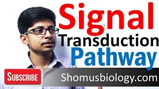 Signal transduction pathway | G protein signaling pathway