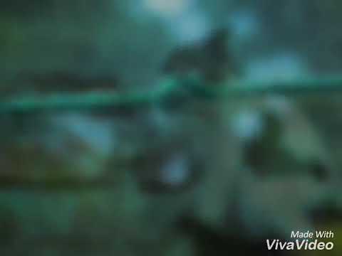 2018 Best photography in 1200 D✌